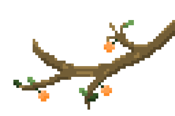 Orange tree